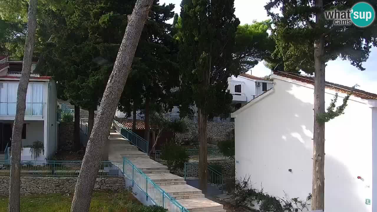 Lumbarda Resort camera en vivo Korčula