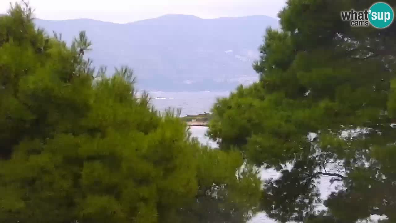 Lumbarda Resort webcam Kurzel