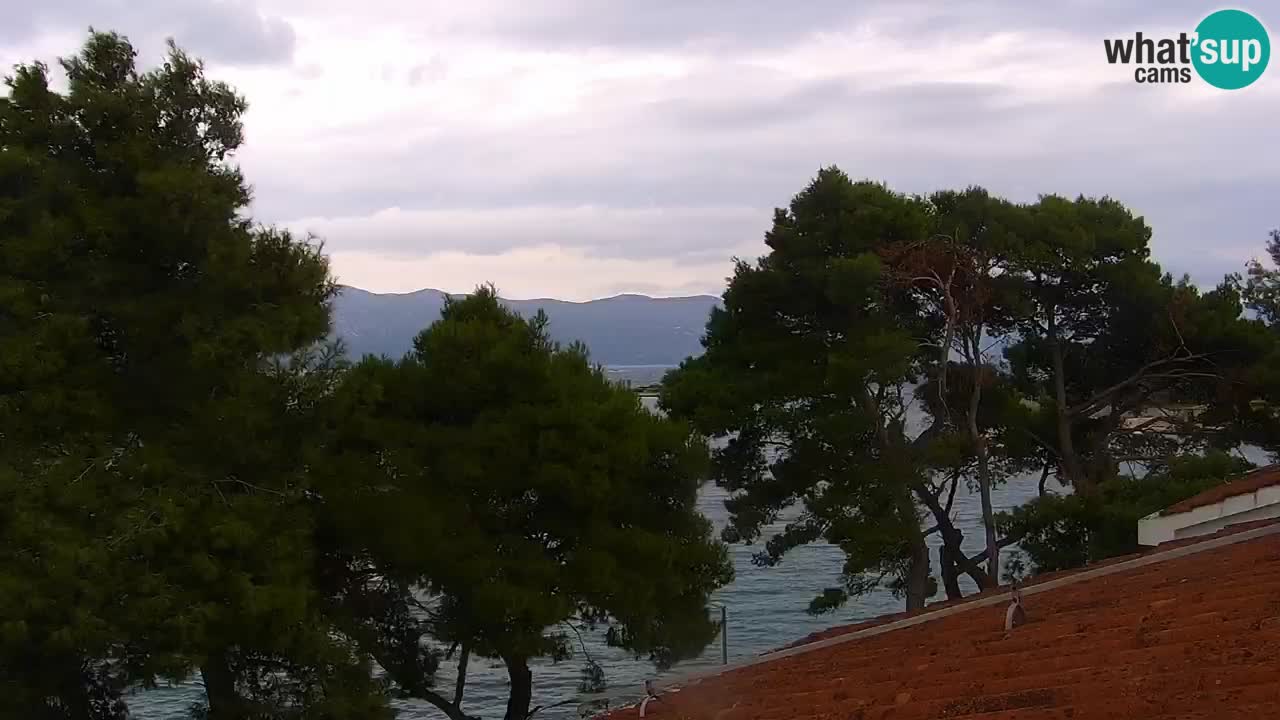 Lumbarda Resort live cam Curzola