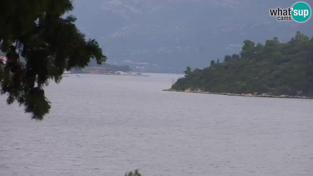 Lumbarda resort Webcam Korčula