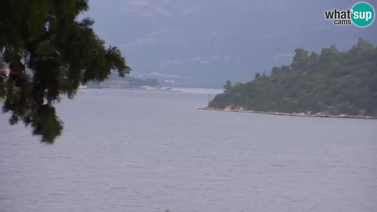 Lumbarda resort Webcam Korčula