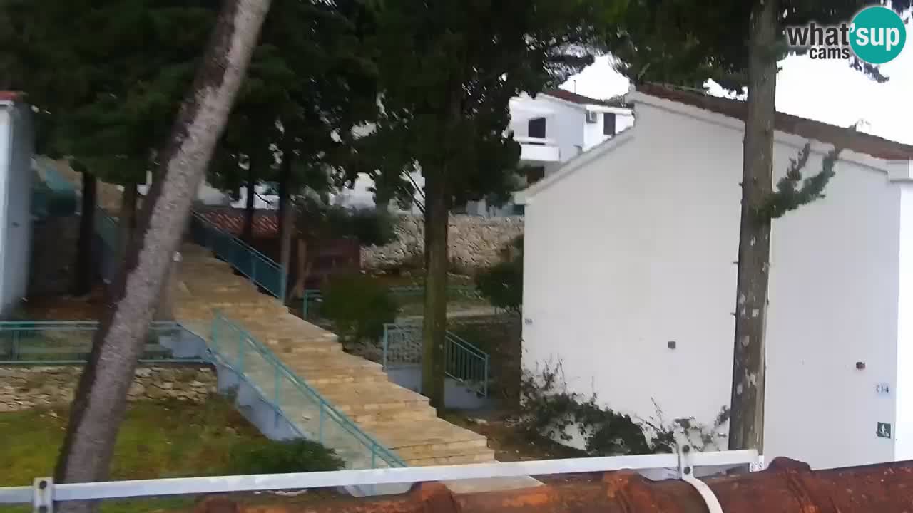 Lumbarda resort Webcam Korčula