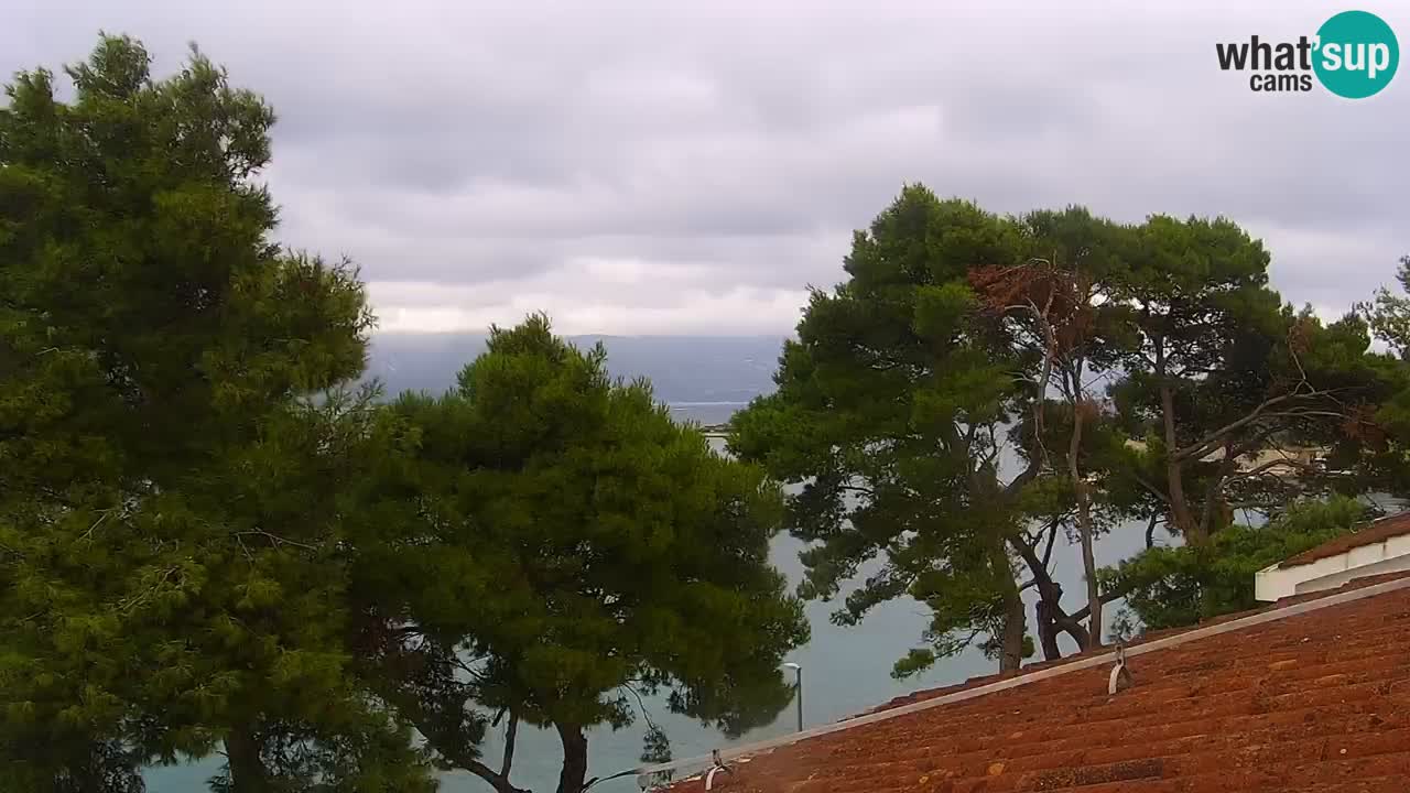 Lumbarda Resort camera en vivo Korčula