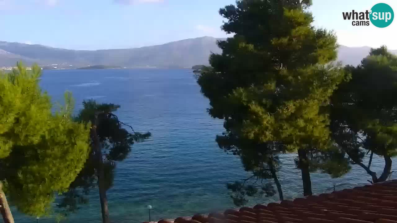 Lumbarda Resort live cam Curzola