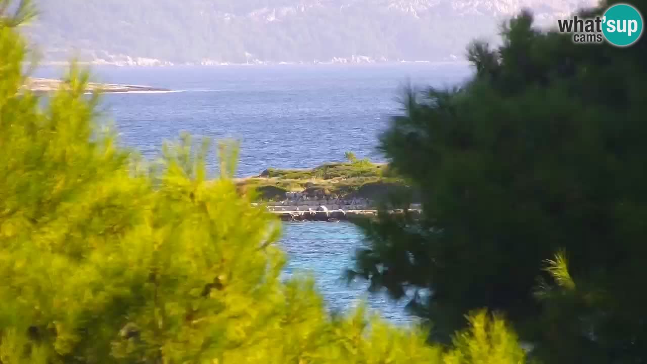 Lumbarda Resort camera en vivo Korčula