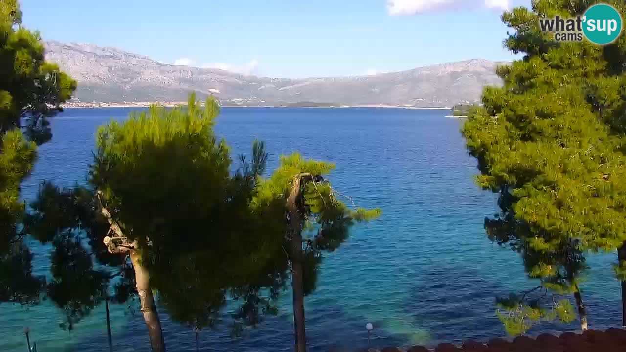 Lumbarda Resort live cam Curzola