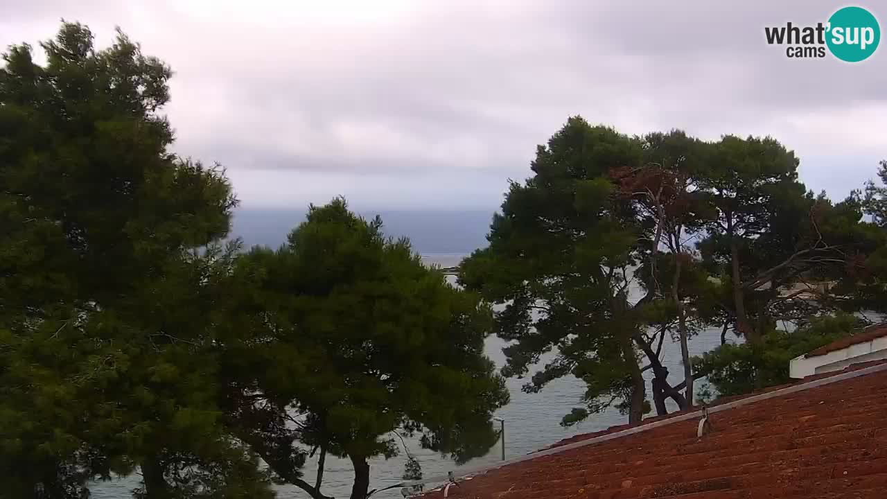 Lumbarda resort Web Kamera Korčula