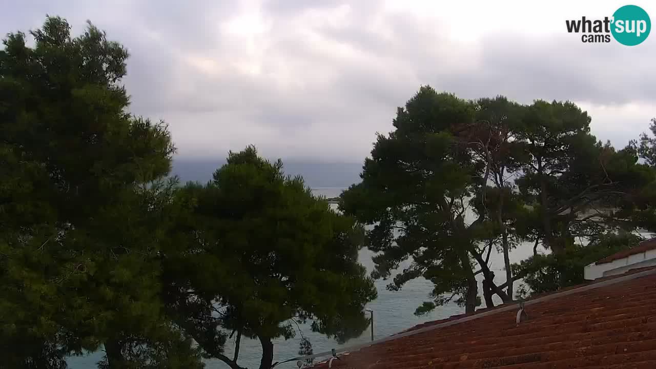 Lumbarda resort – livecam Korčula