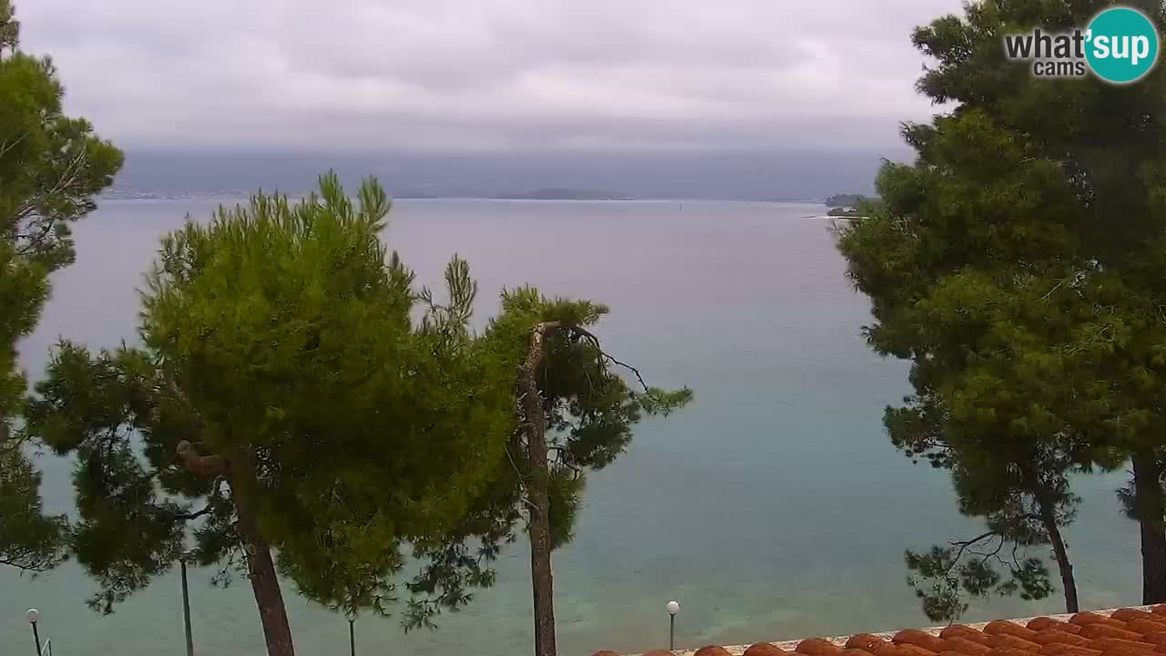 Lumbarda resort – livecam Korčula
