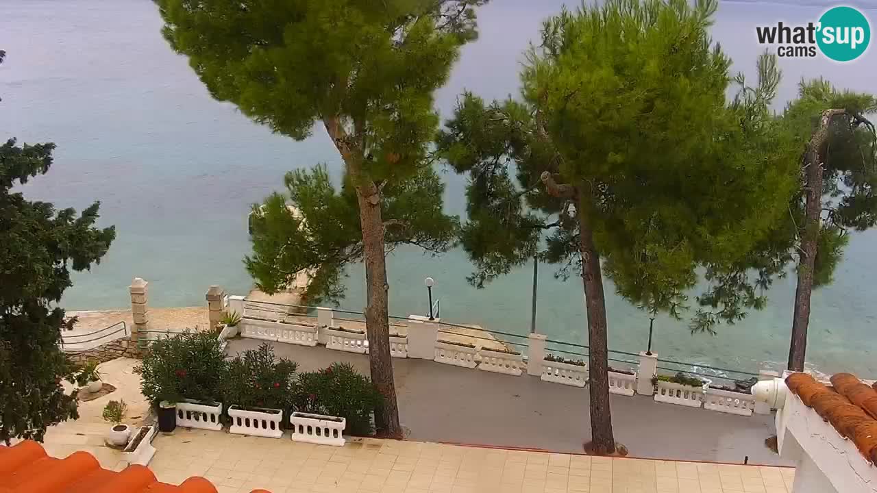 Lumbarda resort Webcam Korčula