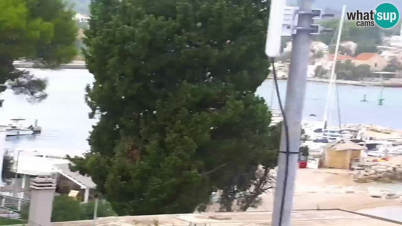 Lumbarda resort Spletna kamera Korčula