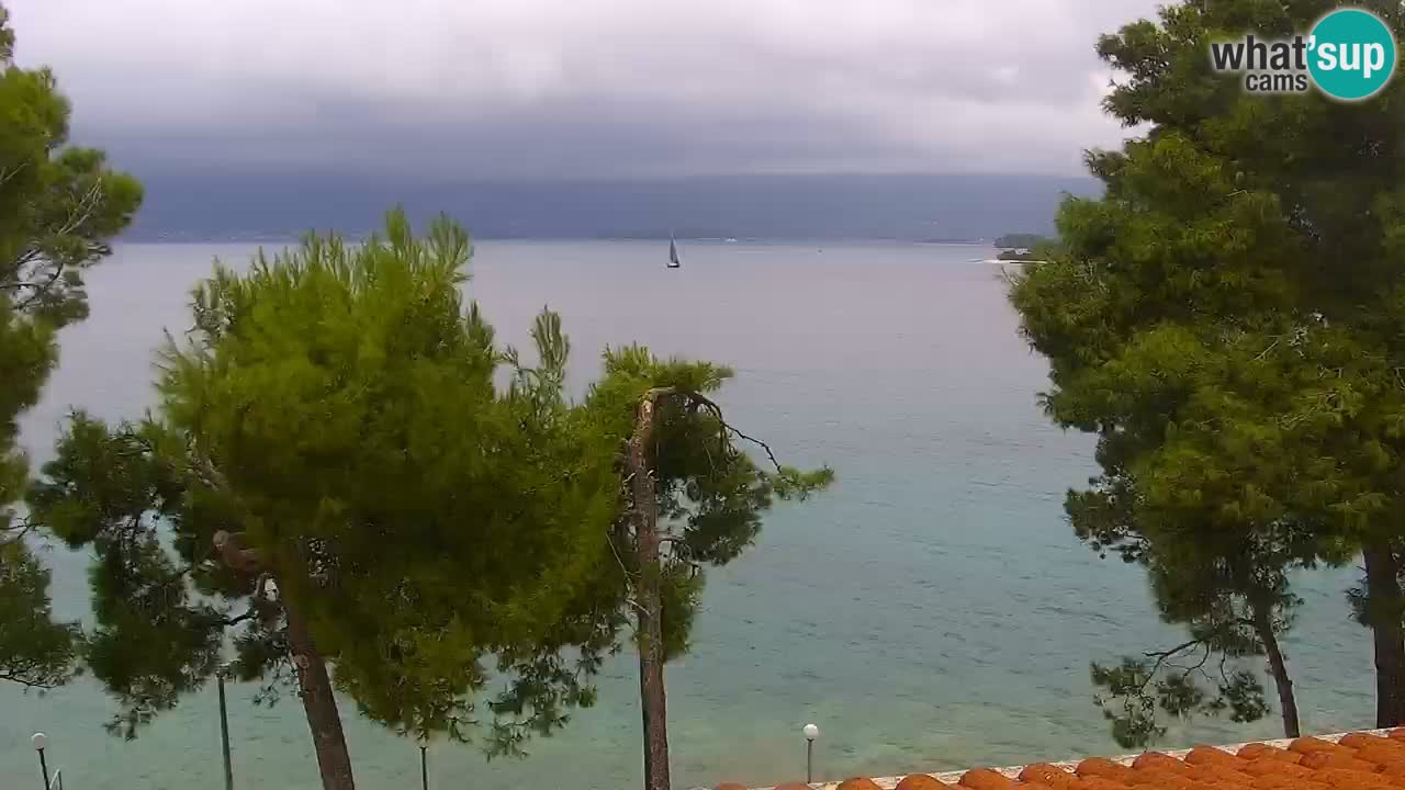 Lumbarda resort – livecam Korčula