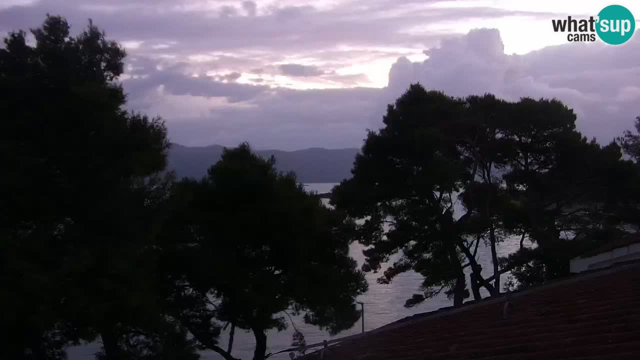 Lumbarda resort – livecam Korčula