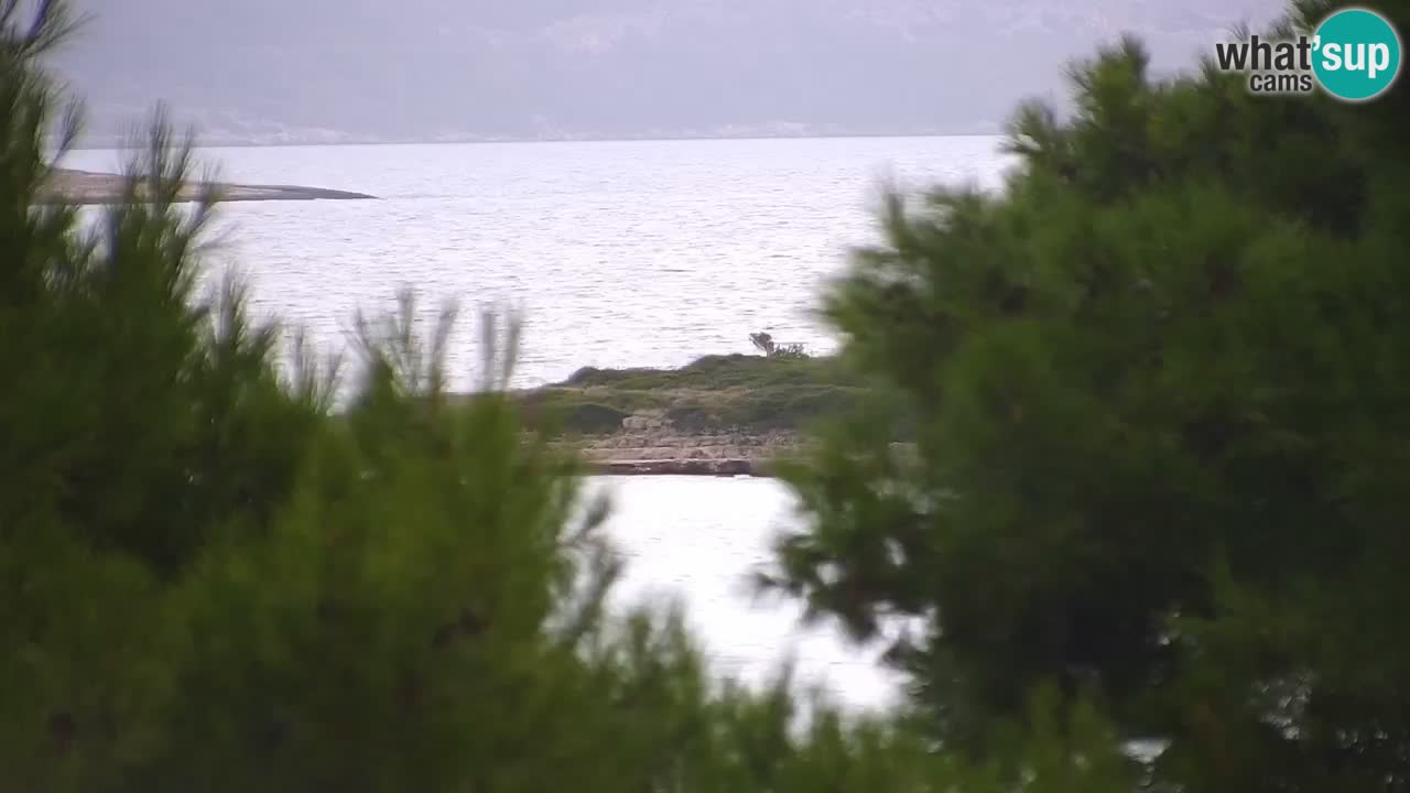Lumbarda resort Webcam Korčula