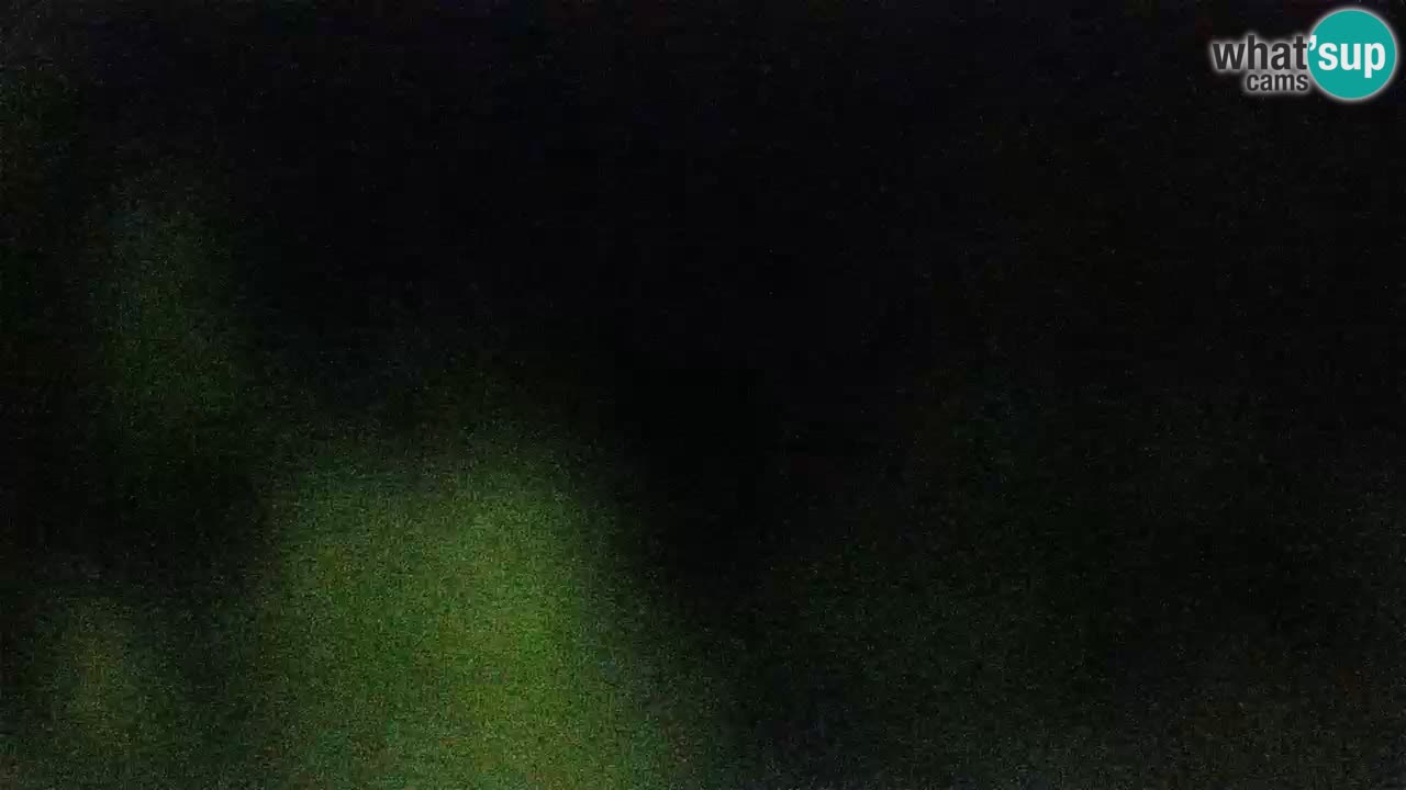 Lumbarda resort Webcam Korčula