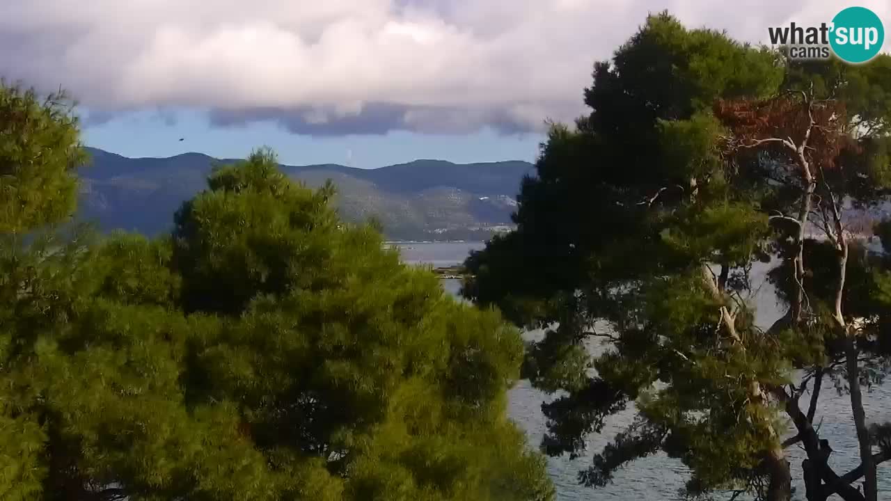Lumbarda resort – livecam Korčula