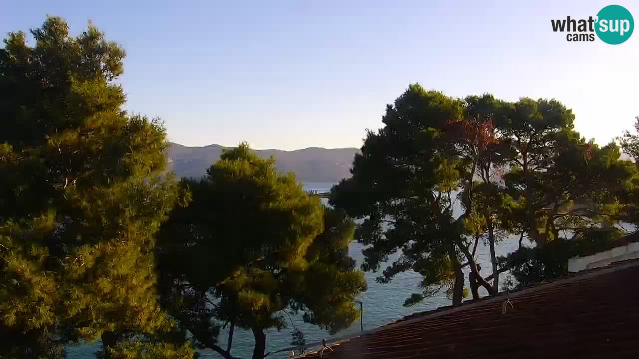 Lumbarda resort Webcam Korčula