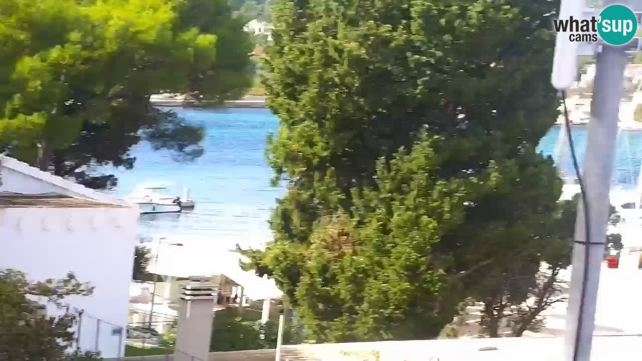 Lumbarda resort Web Kamera Korčula