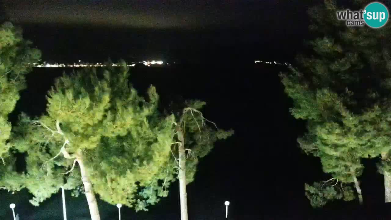 Lumbarda resort Web Kamera Korčula