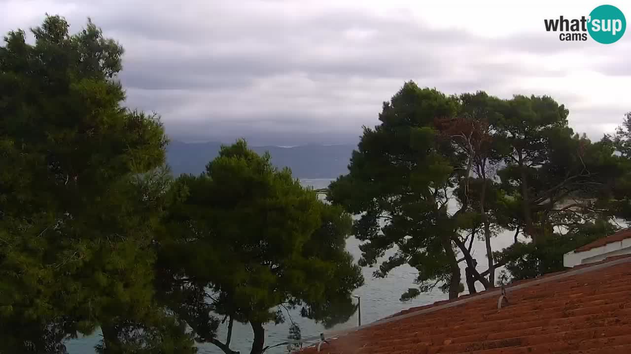 Lumbarda resort Spletna kamera Korčula