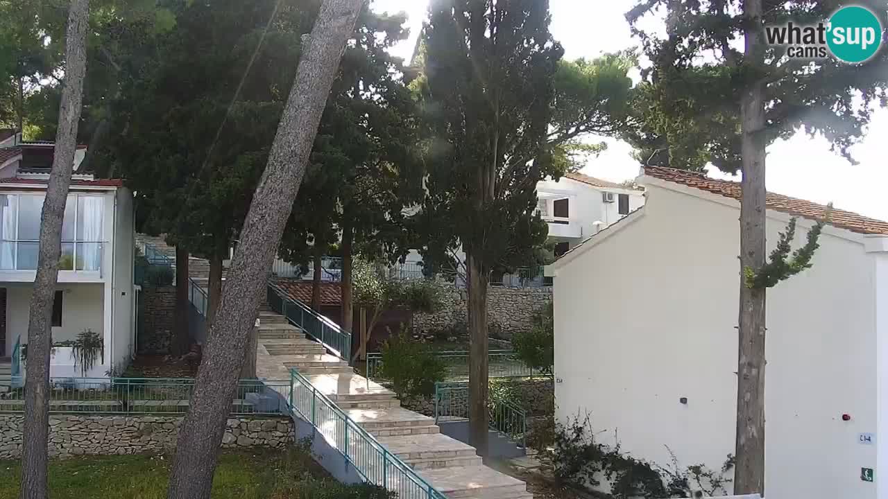 Lumbarda resort – livecam Korčula