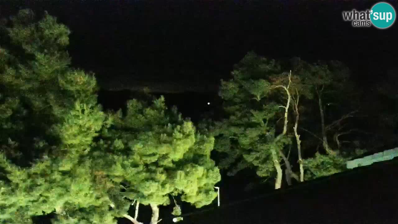 Lumbarda Resort live cam Curzola