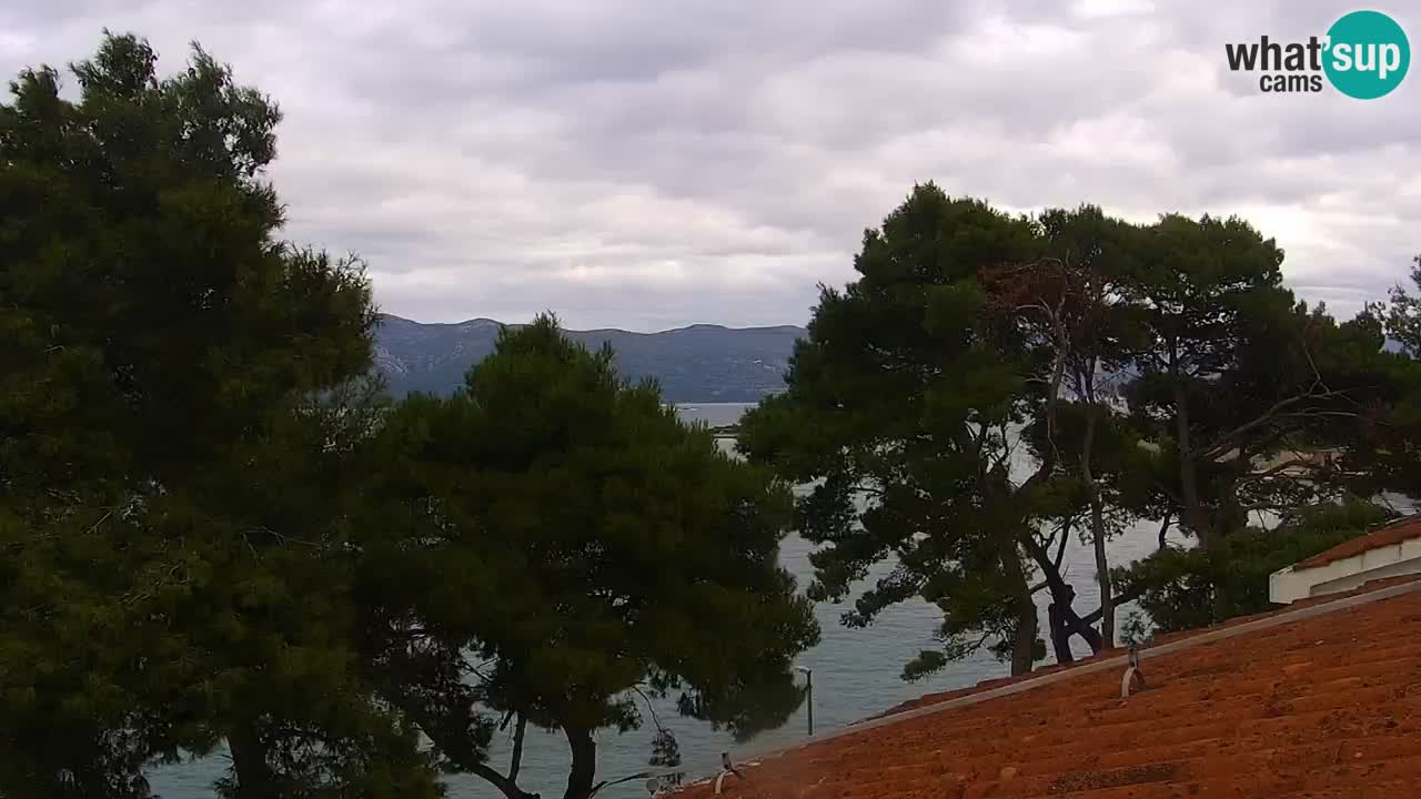 Lumbarda resort Webcam Korčula