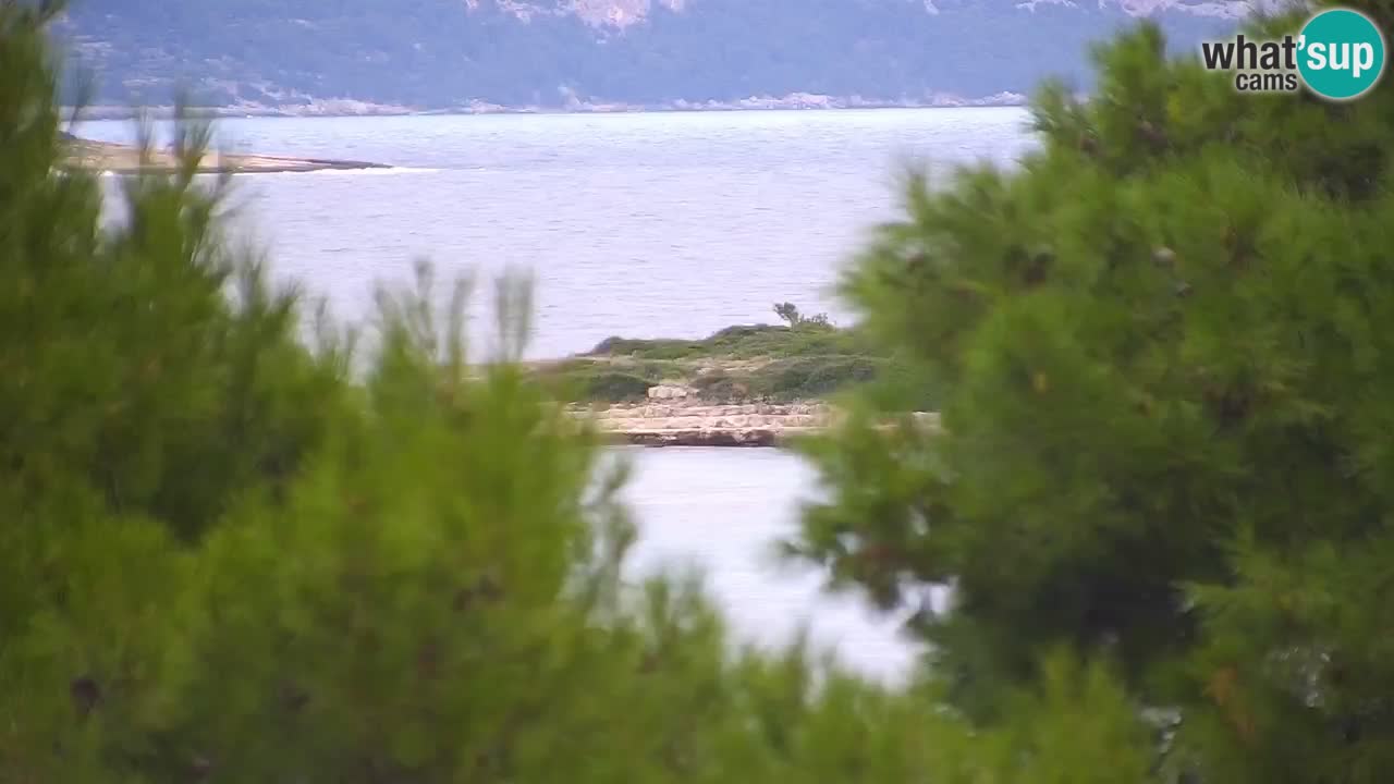 Lumbarda resort Spletna kamera Korčula