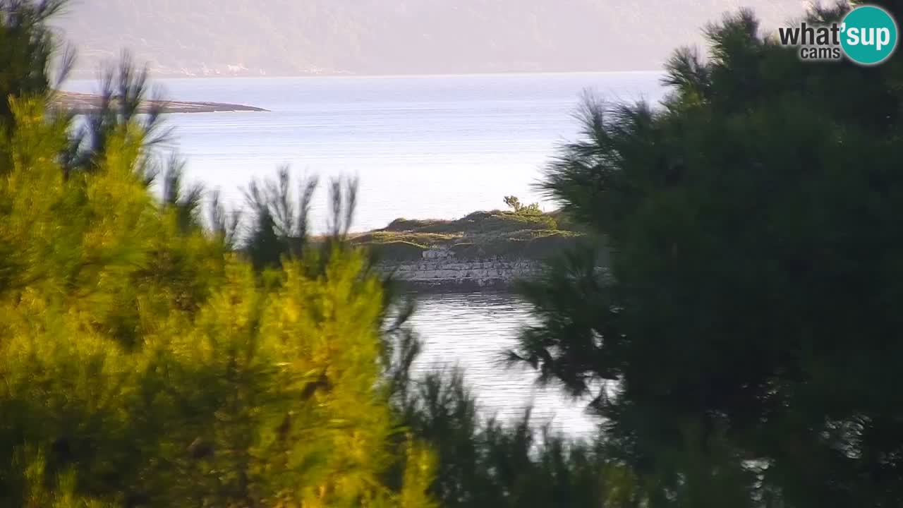 Lumbarda Resort live cam Curzola