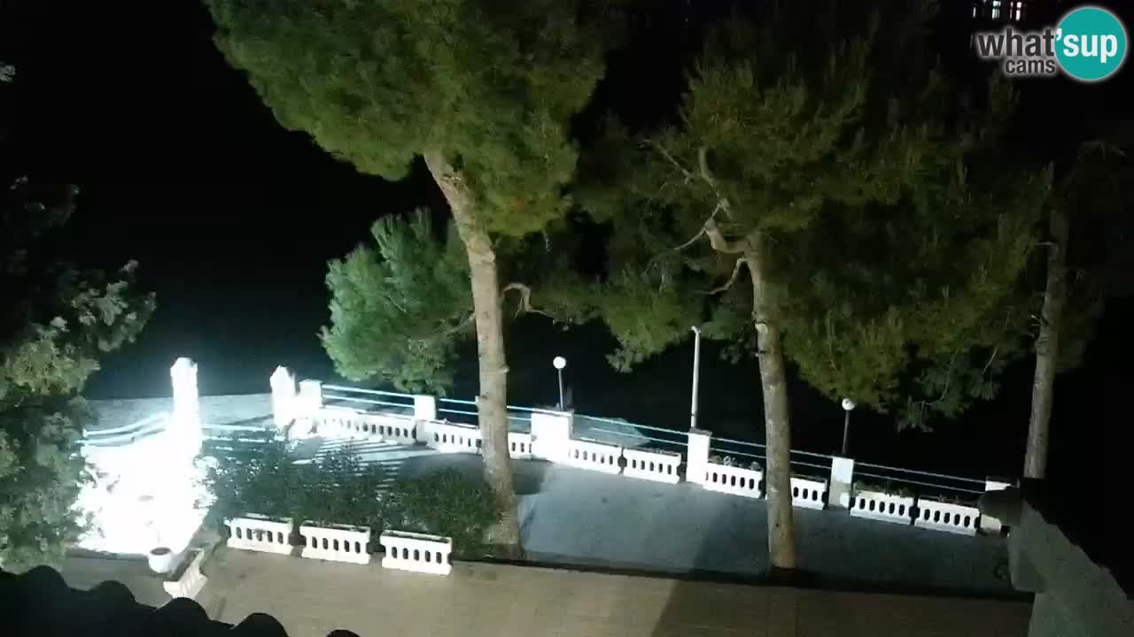 Lumbarda resort Spletna kamera Korčula