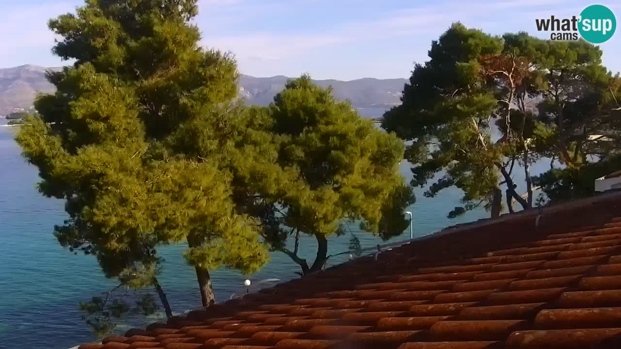 Lumbarda resort Spletna kamera Korčula
