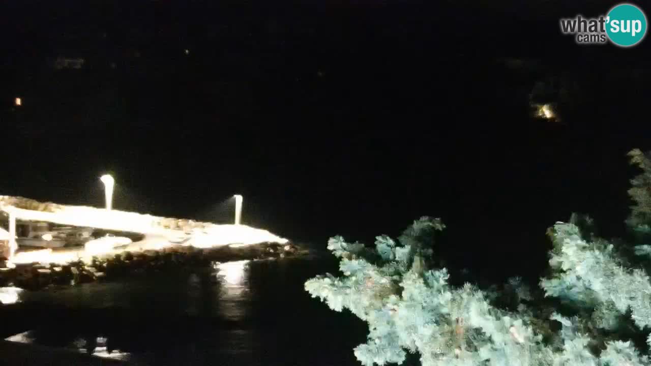 Lumbarda Resort camera en vivo Korčula