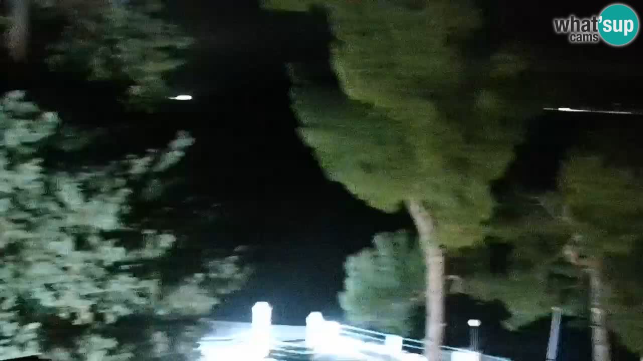 Lumbarda resort Webcam Korčula