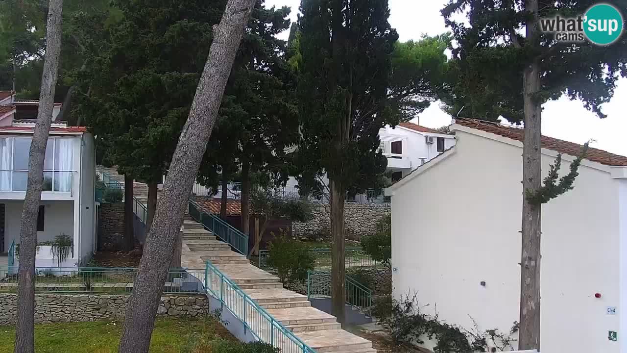Lumbarda resort Web Kamera Korčula