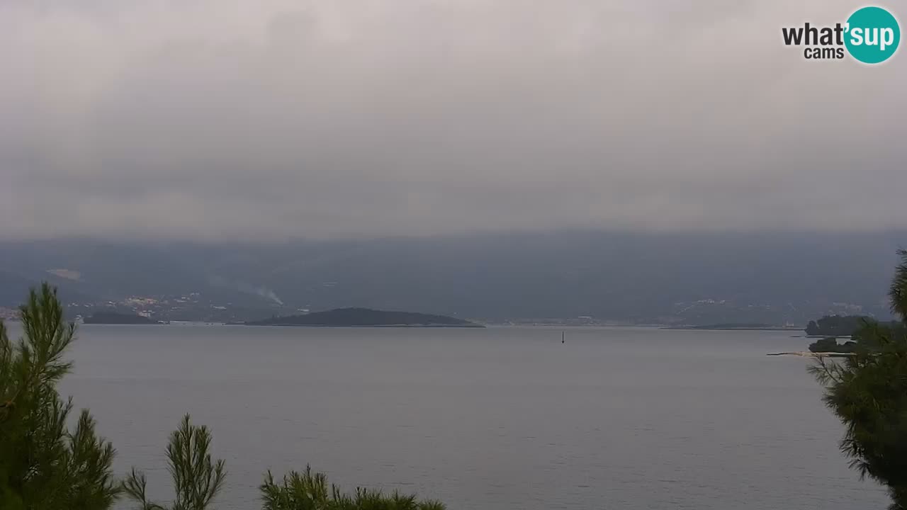 Lumbarda resort Spletna kamera Korčula