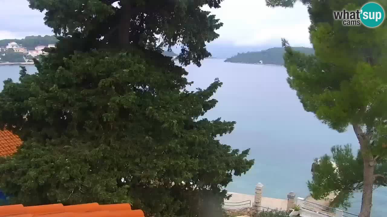Lumbarda Resort camera en vivo Korčula