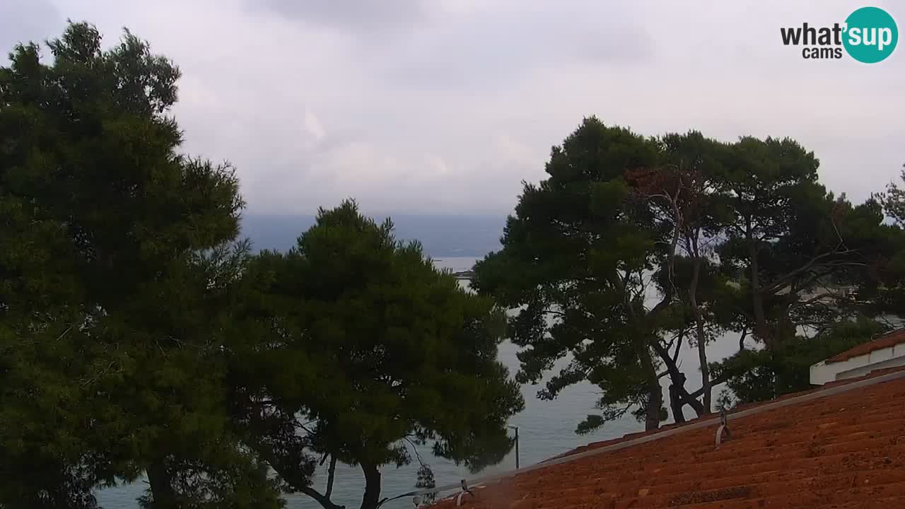 Lumbarda resort Spletna kamera Korčula