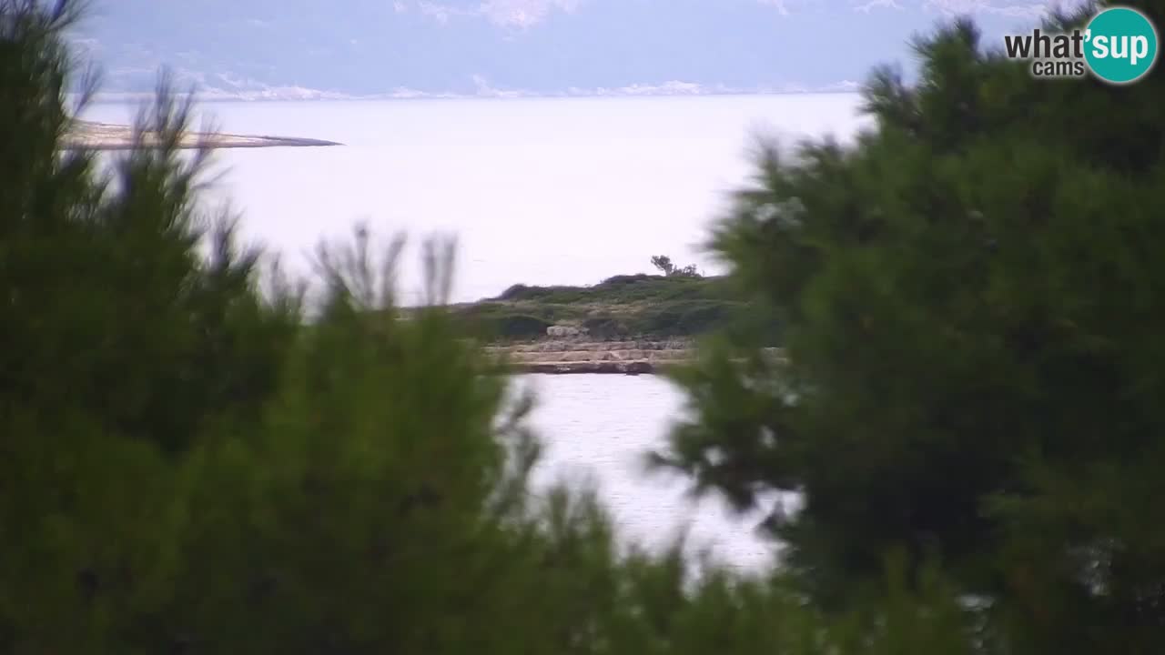 Lumbarda Resort webcam Kurzel