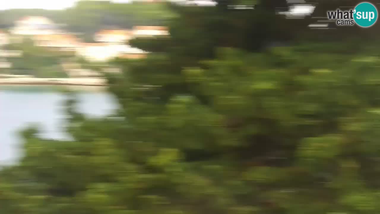 Lumbarda resort Webcam Korčula