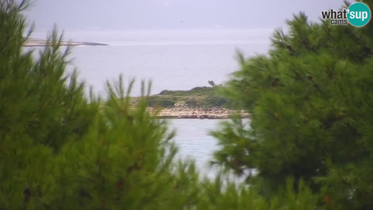 Lumbarda Resort camera en vivo Korčula