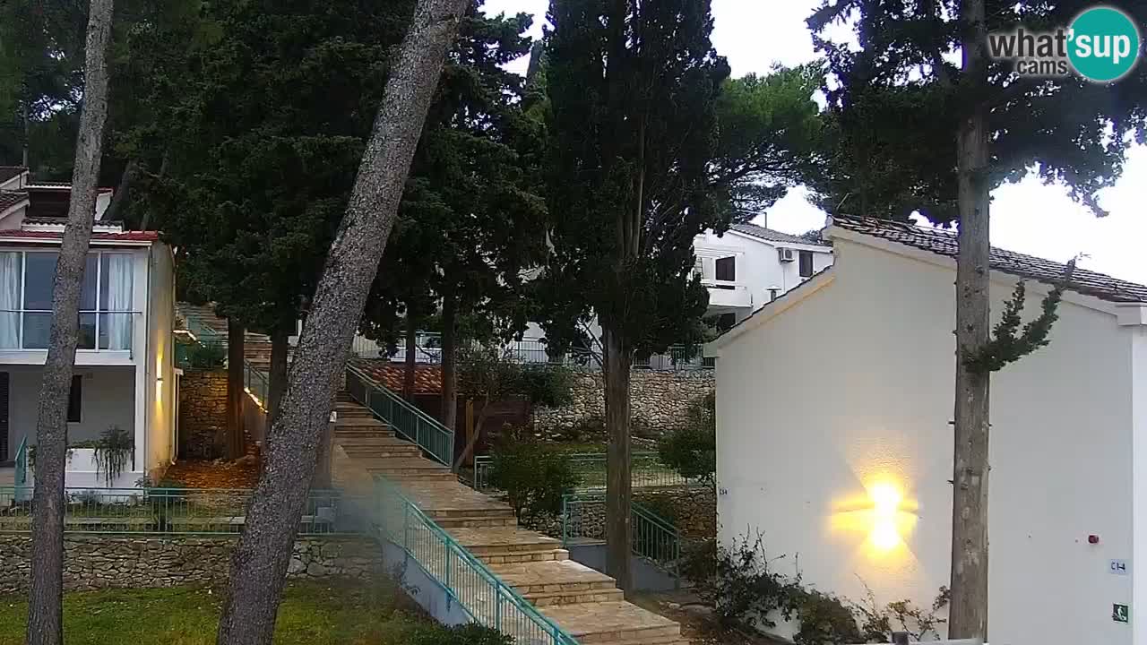 Lumbarda resort Web Kamera Korčula