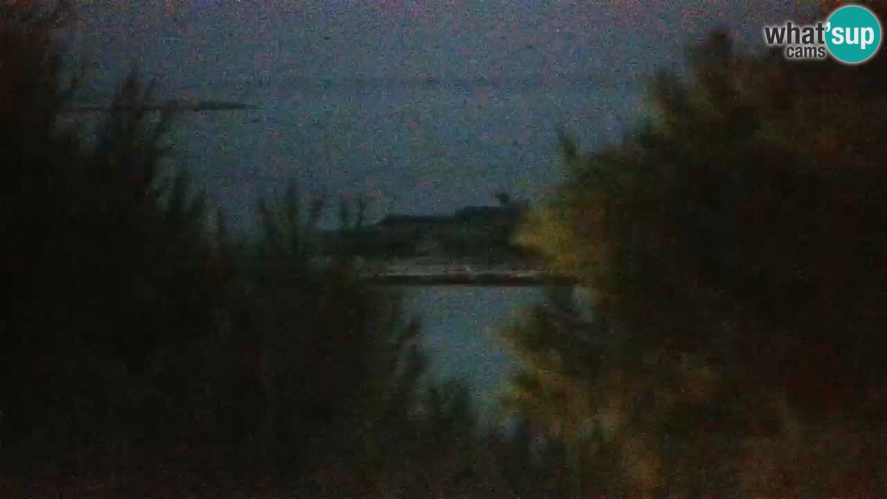 Lumbarda resort – livecam Korčula