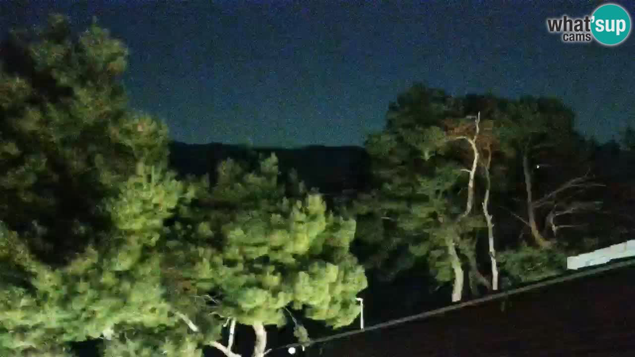 Lumbarda resort Spletna kamera Korčula