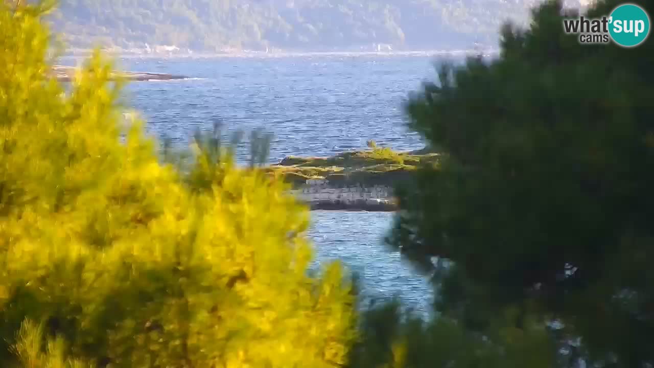 Lumbarda Resort live cam Curzola