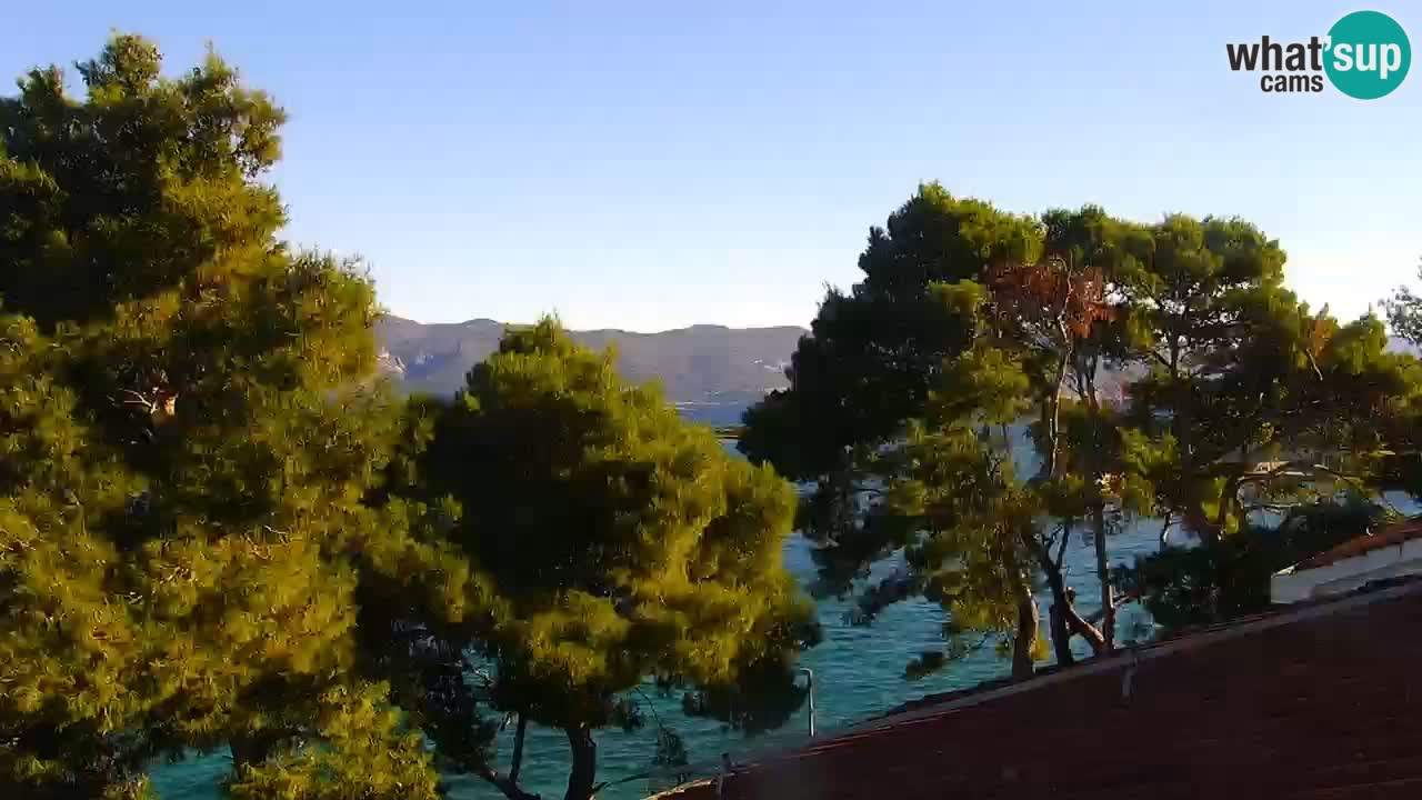 Lumbarda Resort live cam Curzola
