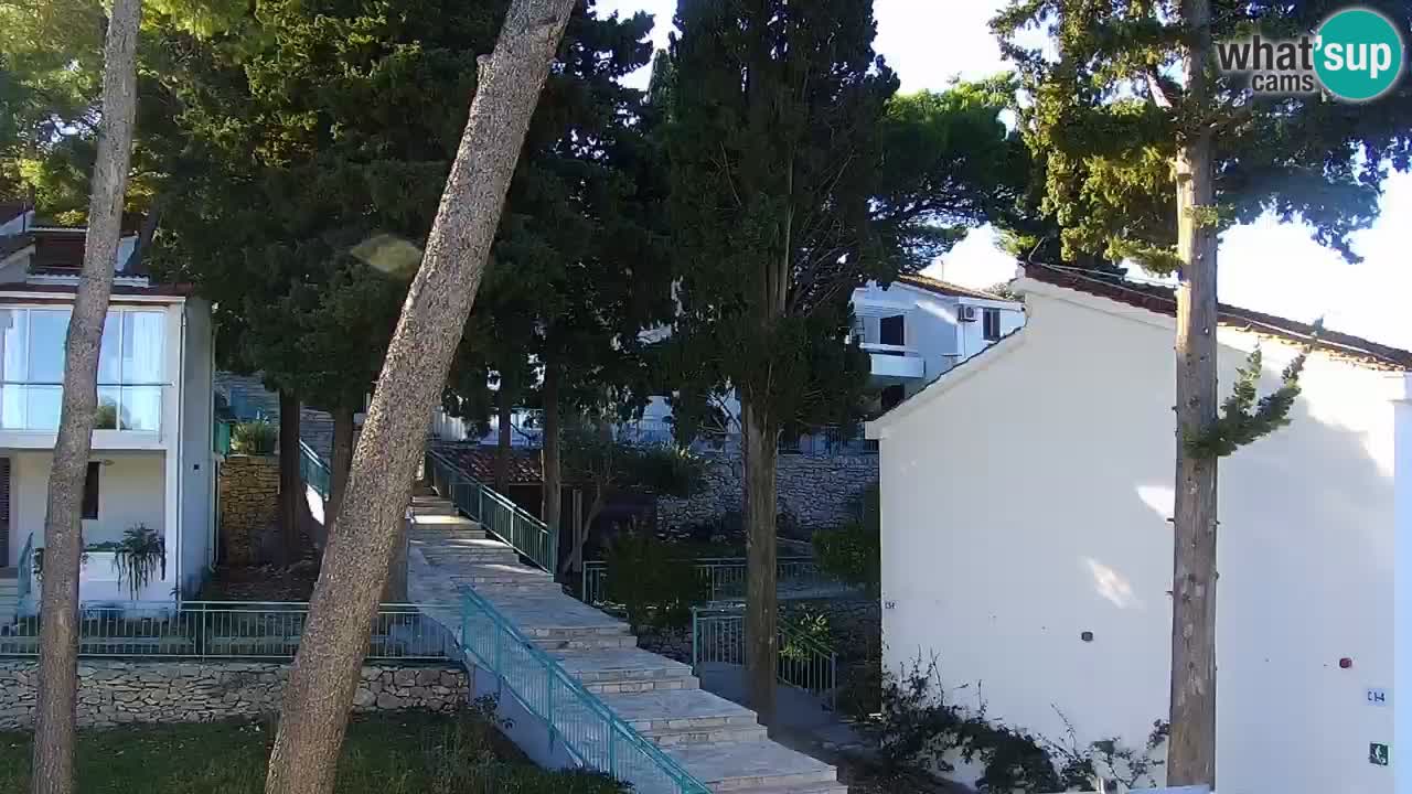 Lumbarda resort Webcam Korčula