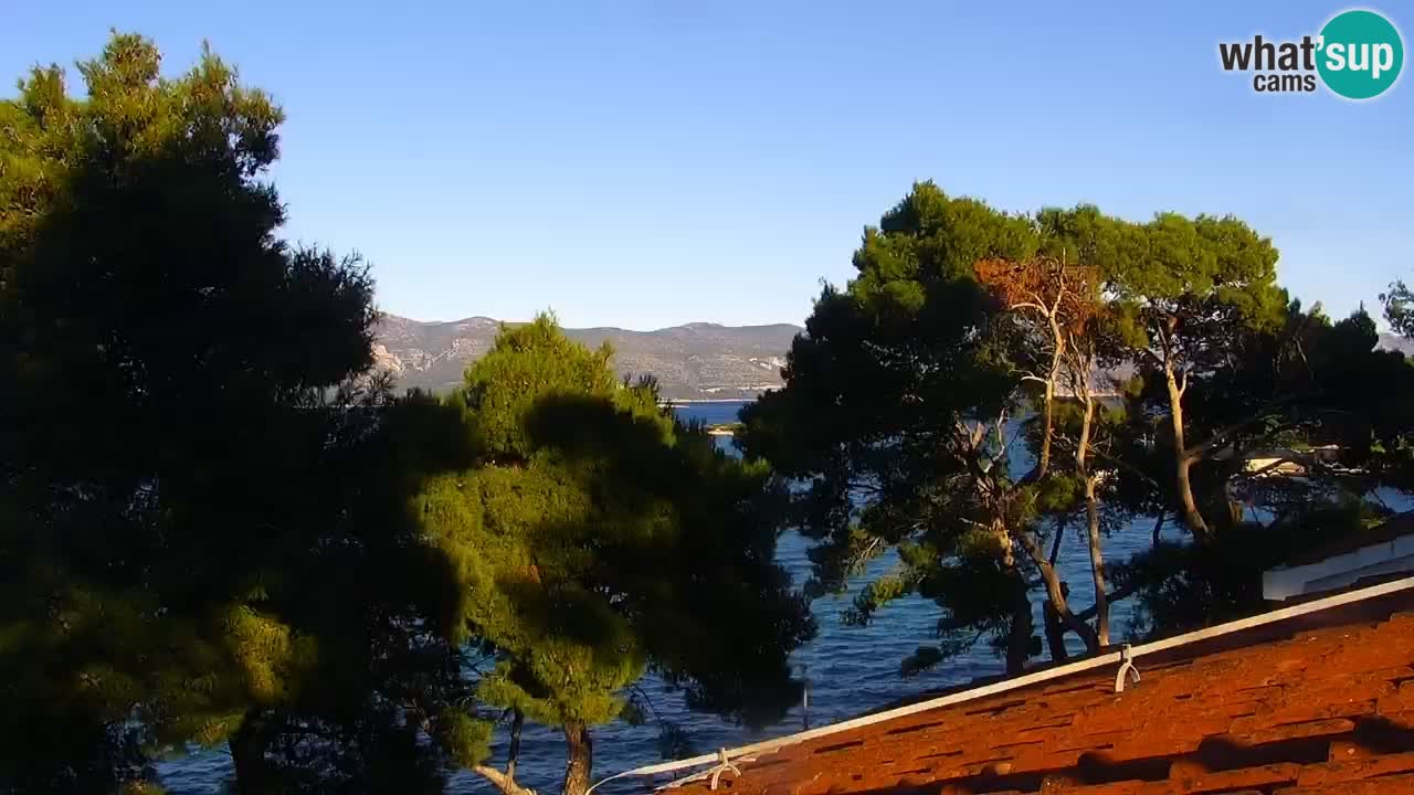 Lumbarda Resort live cam Curzola