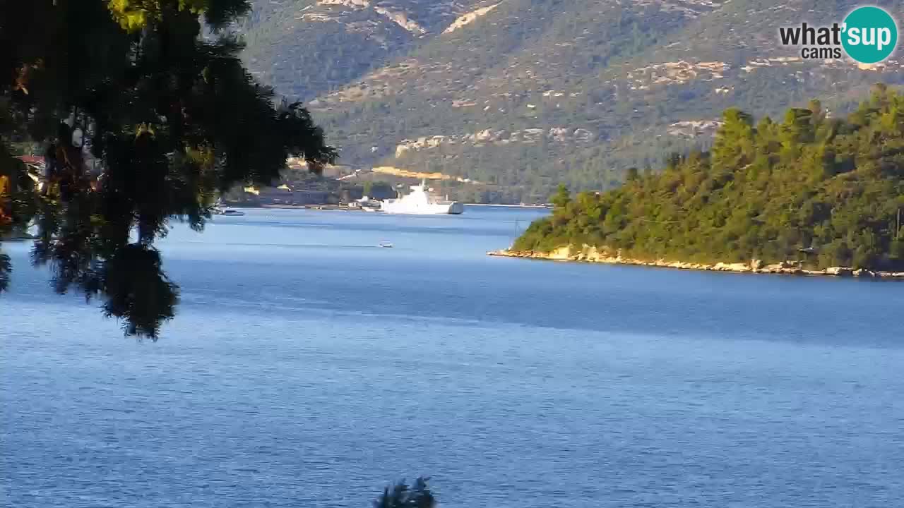 Lumbarda resort Webcam Korčula
