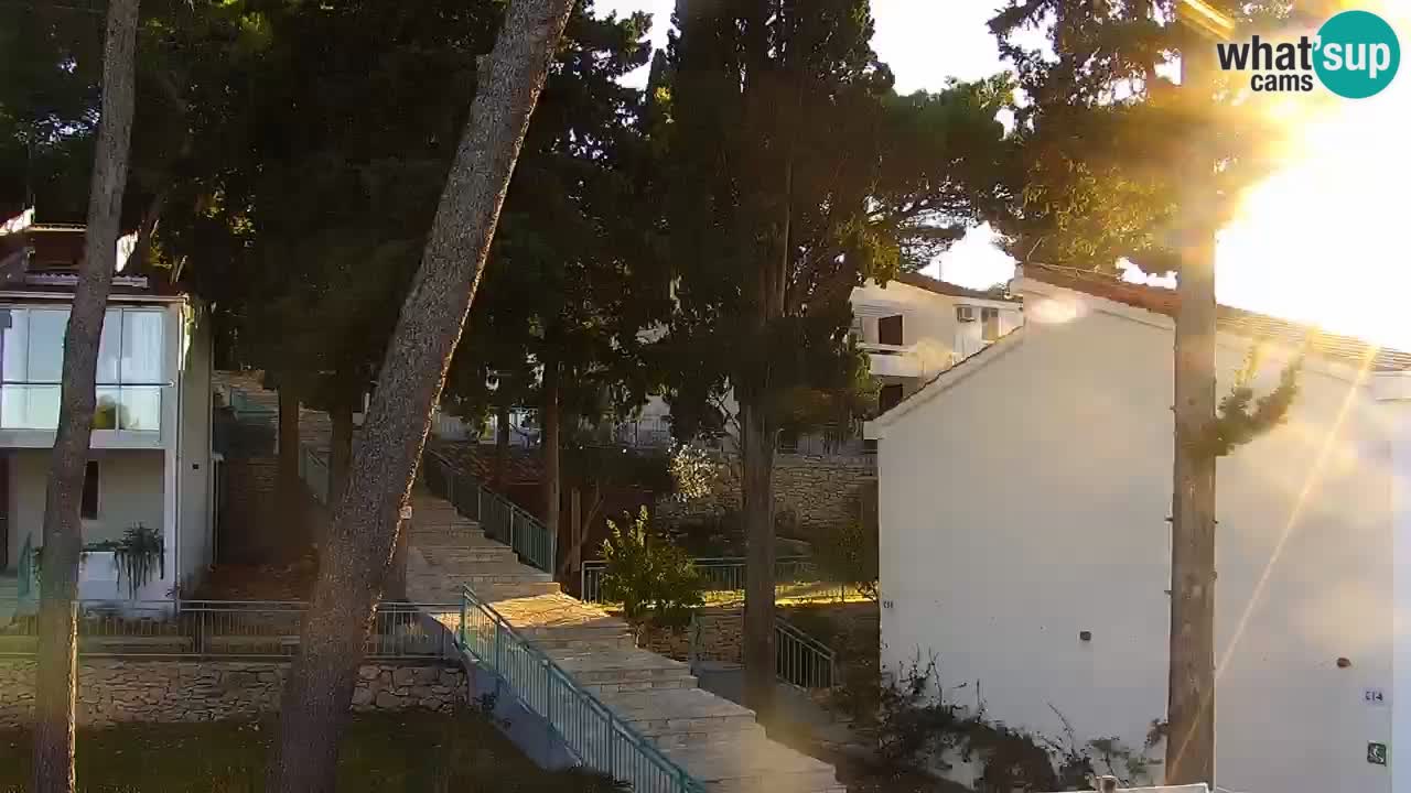 Lumbarda resort Webcam Korčula