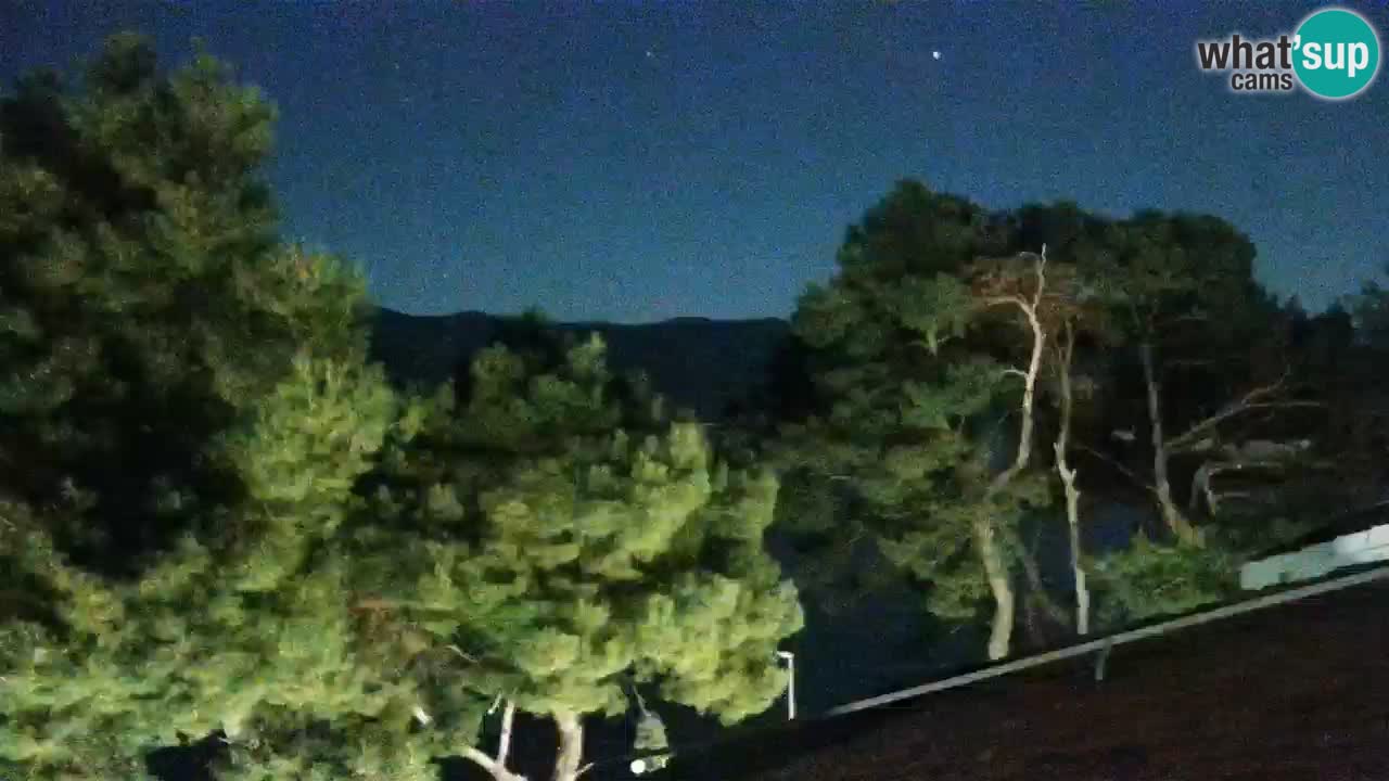Lumbarda resort Webcam Korčula